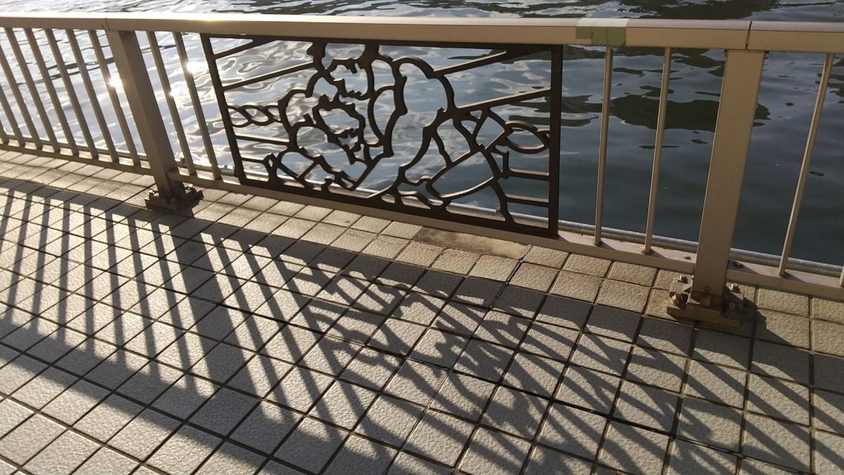 beautiful shadow